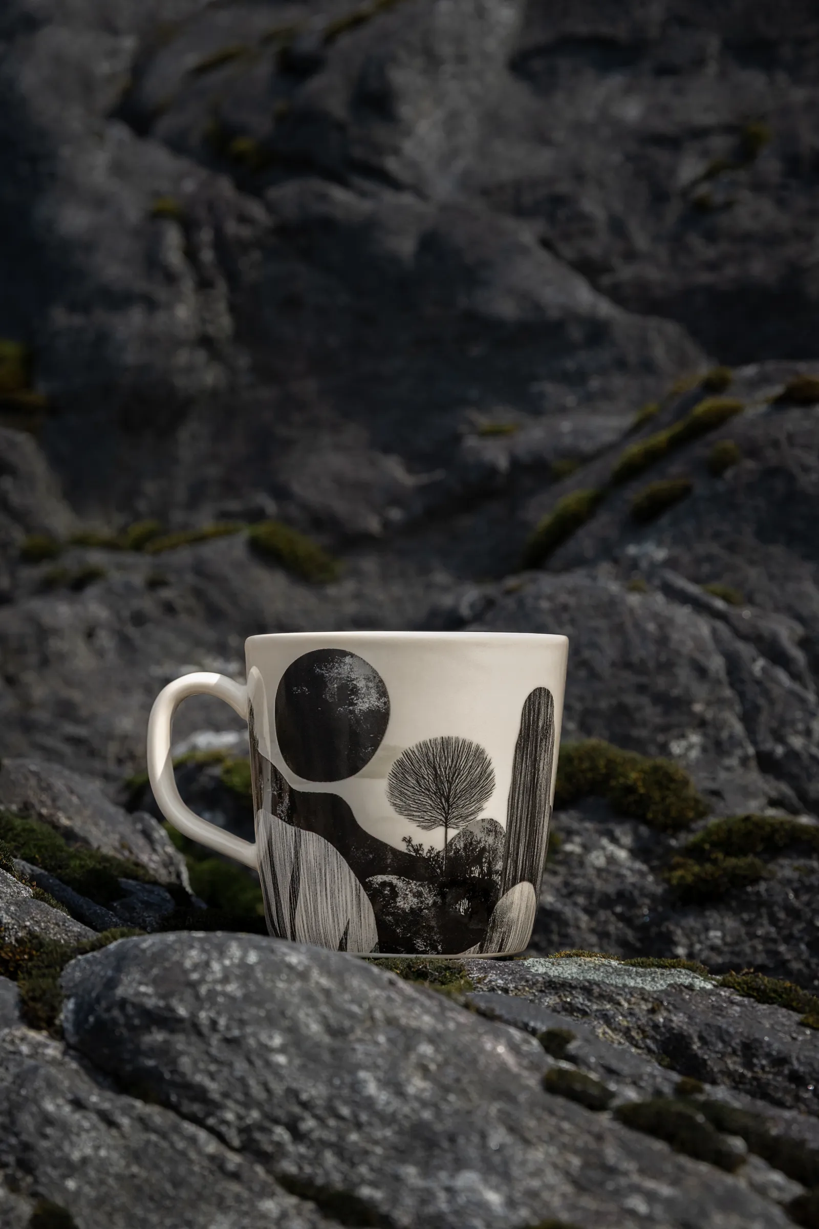 En vy över monokrom tystnad