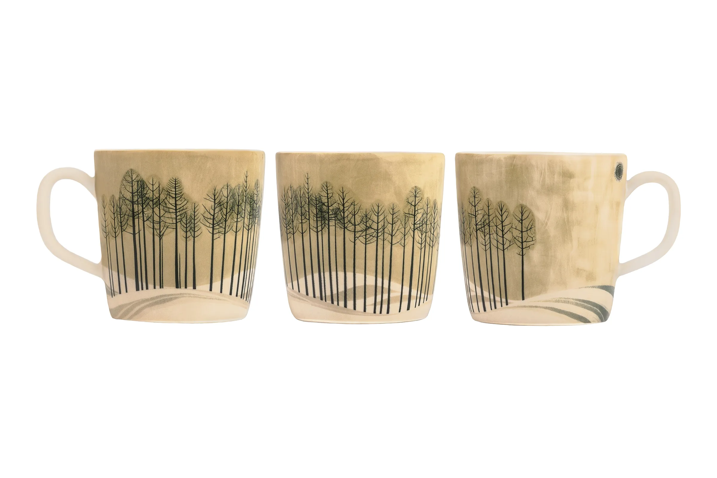 En vy över tysta tallar