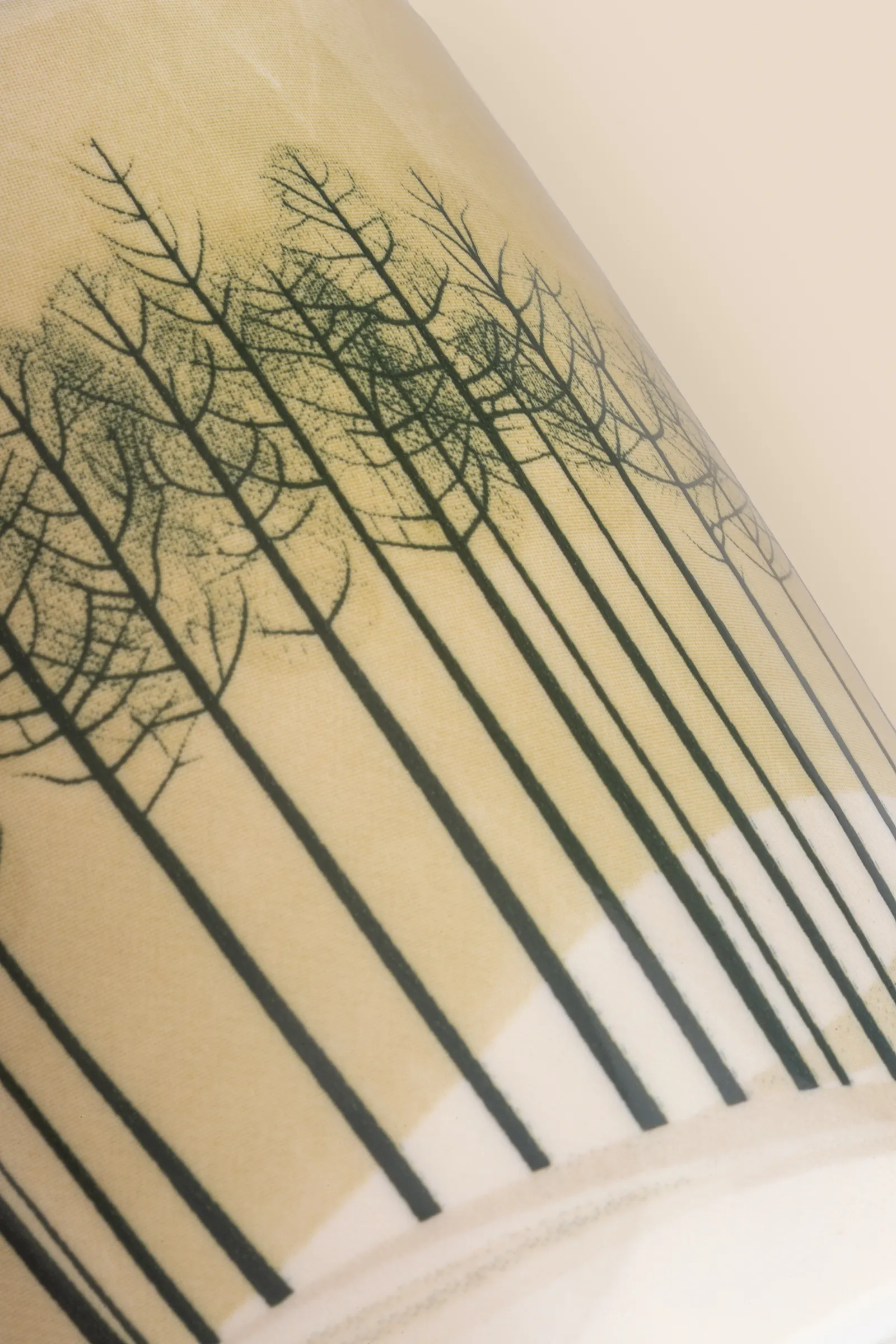 En vy över tysta tallar