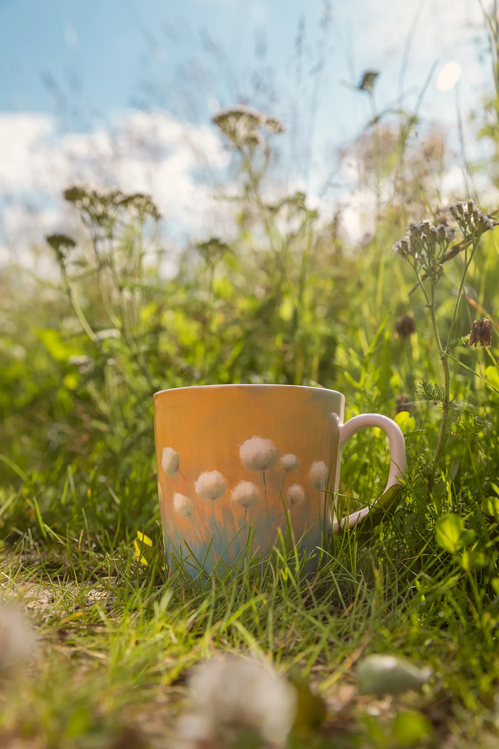 En vy över arktisk bomull